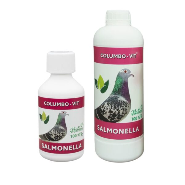 Columbo-Vit Salmonella –  Tratamiento de Salmonella en Palomas