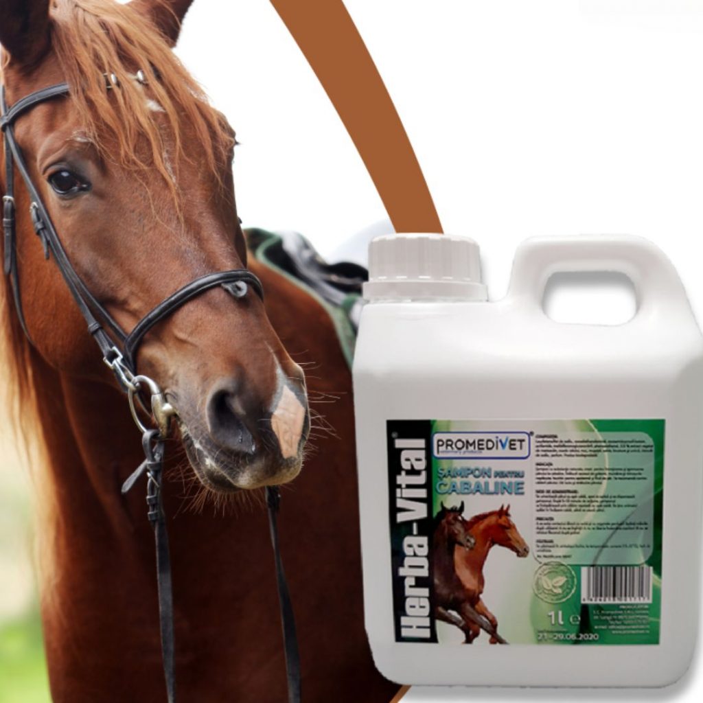 Champú para Caballos