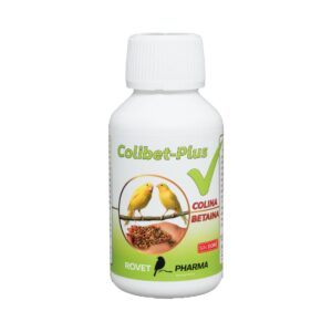 Colibet Plus – Suplemento Hepático para Aves con Colina y Betaína