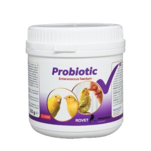 Probiotic - Enterococcus faecium – Suplemento Probiótico para Aves – 250 g