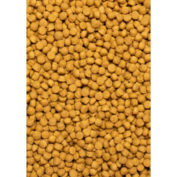 Comida para Loros Alta Proteína 3 kg PSITTACUS - Imagen 2