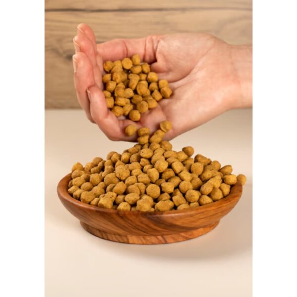 Comida para Loros Alta Proteína 3 kg PSITTACUS - Imagen 4