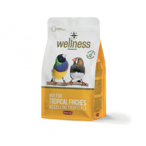 Comida para aves tropicales pequeñas Wellness 1 kg PADOVAN