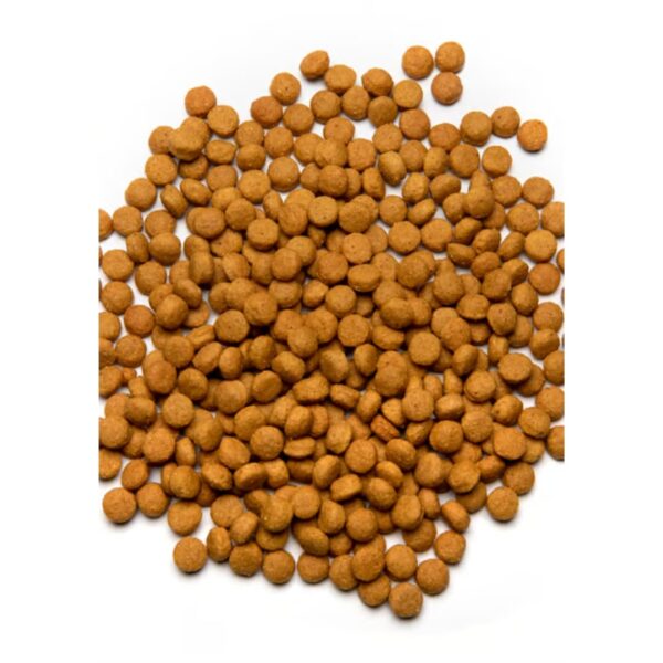 Comida para Loros Alta Energia 3 KG PSITTACUS - Imagen 4