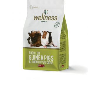 Comida para cobayas Wellness 1 KG PADOVAN