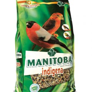 Manitoba Indigena mixtura para camachuelos y piquituertos