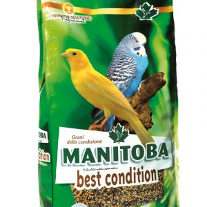 Manitoba Best Condition mezcla de semillas funcionales para la salud de las aves 2,5 kg